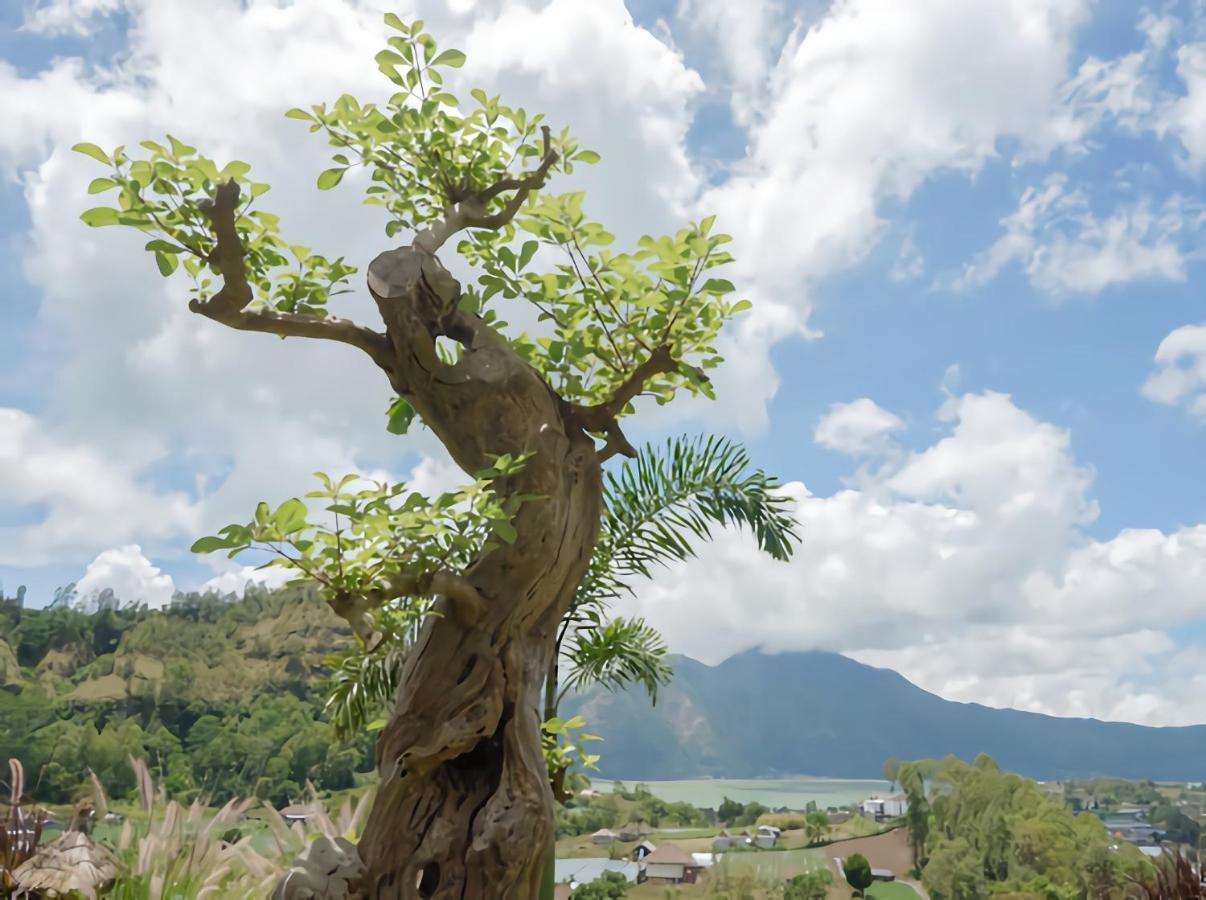 Batur Cliff Panorama Villa Baturaja  Bagian luar foto